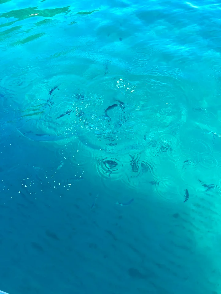 Sunlight and ripples revealing the rocky seabed through clear turquoise water.
