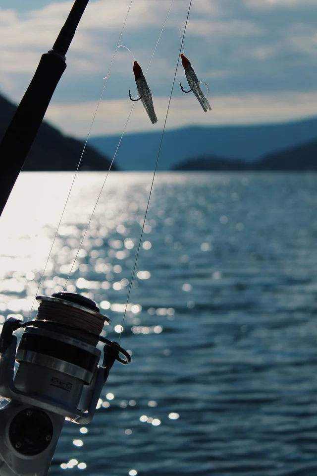 Fishing lures hanging above a reel with sunlit water behind.